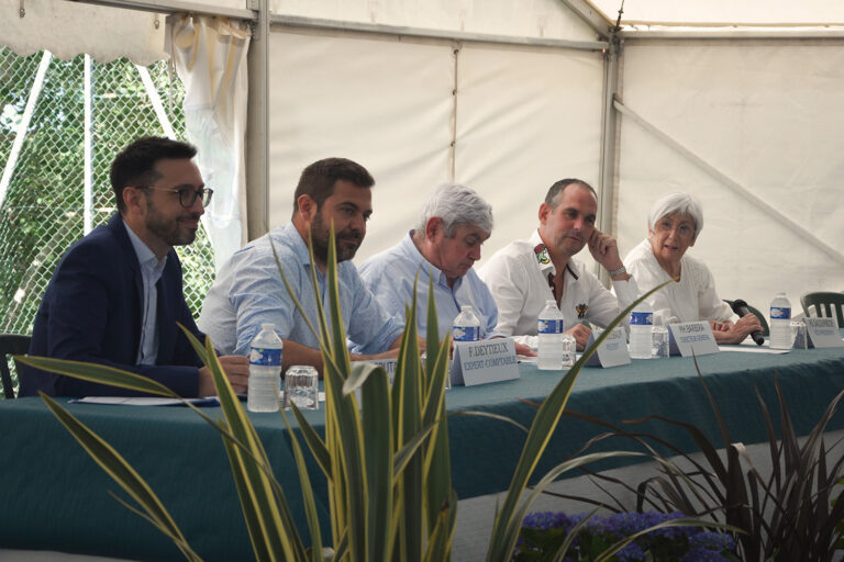 Gouvernance de l’association CELHAYA accompagnant des adultes en situation de handicap